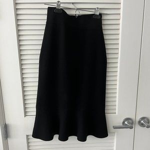 Godet gorgeous two color skirt Club Monaco ( good condition) XS, S
